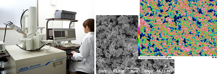 Scanning electron microscope (SEM, JSM-6390) and Energy Dispersive X-ray Detector (EDX)